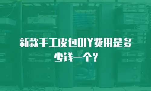 新款手工皮包DIY费用是多少钱一个？