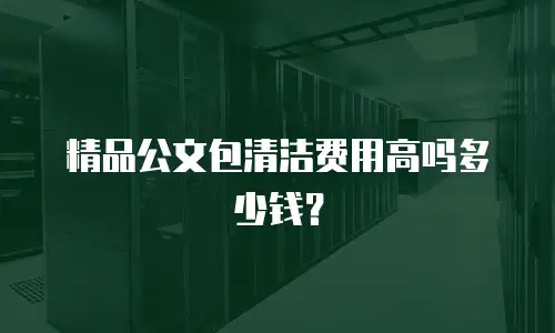 精品公文包清洁费用高吗多少钱？