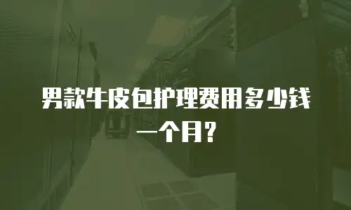 男款牛皮包护理费用多少钱一个月？