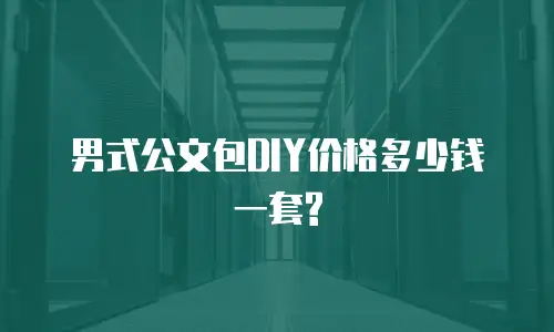 男式公文包DIY价格多少钱一套?