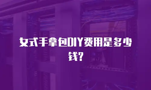 女式手拿包DIY费用是多少钱？