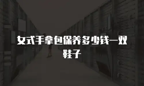 女式手拿包保养多少钱一双鞋子