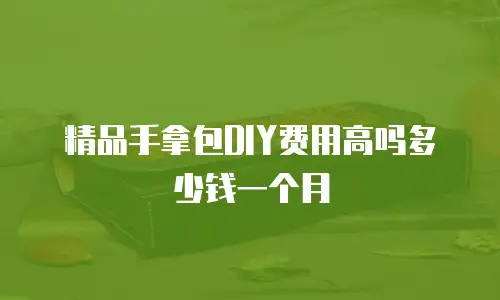 精品手拿包DIY费用高吗多少钱一个月