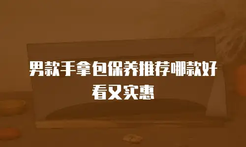 男款手拿包保养推荐哪款好看又实惠