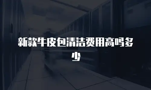 新款牛皮包清洁费用高吗多少