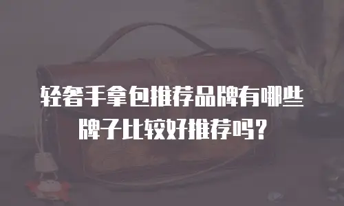 轻奢手拿包推荐品牌有哪些牌子比较好推荐吗？