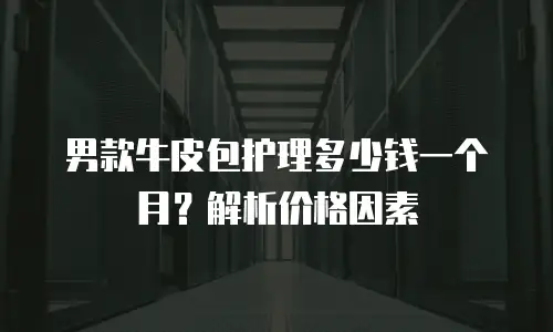 男款牛皮包护理多少钱一个月？解析价格因素