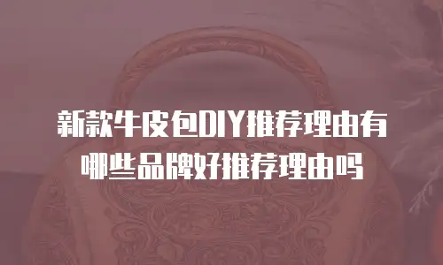 新款牛皮包DIY推荐理由有哪些品牌好推荐理由吗
