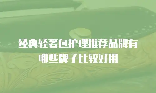经典轻奢包护理推荐品牌有哪些牌子比较好用
