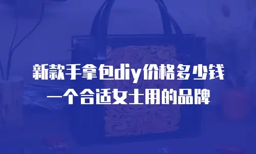 新款手拿包diy价格多少钱一个合适女士用的品牌