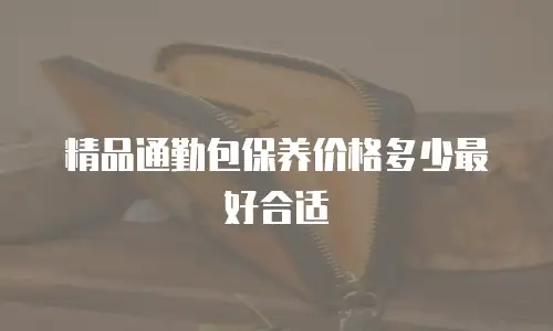 精品通勤包保养价格多少最好合适