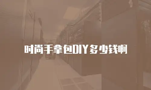 时尚手拿包DIY多少钱啊