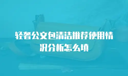 轻奢公文包清洁推荐使用情况分析怎么填