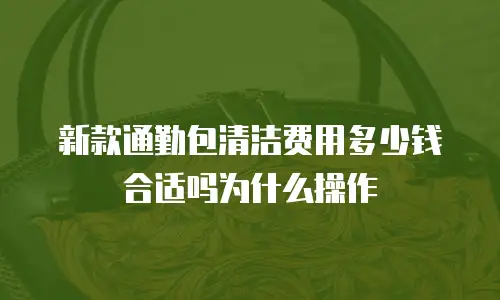新款通勤包清洁费用多少钱合适吗为什么操作
