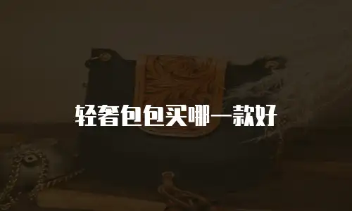 轻奢包包买哪一款好