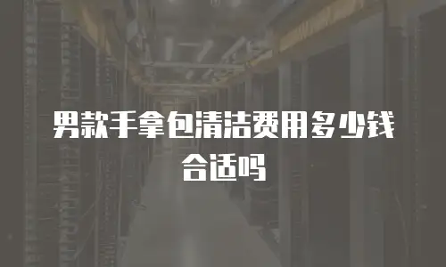 男款手拿包清洁费用多少钱合适吗