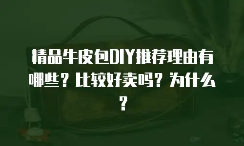 精品牛皮包DIY推荐理由有哪些？比较好卖吗？为什么？