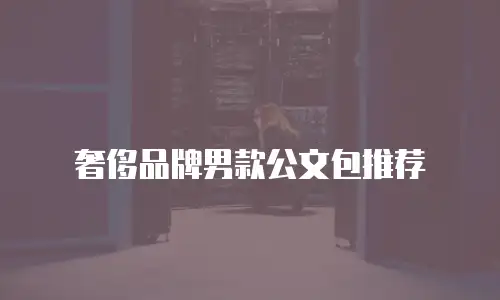 奢侈品牌男款公文包推荐