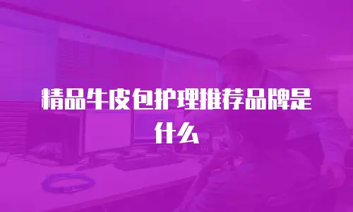 精品牛皮包护理推荐品牌是什么