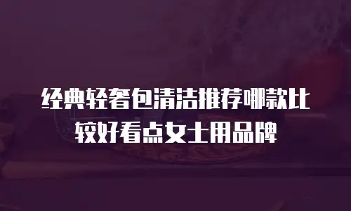经典轻奢包清洁推荐哪款比较好看点女士用品牌