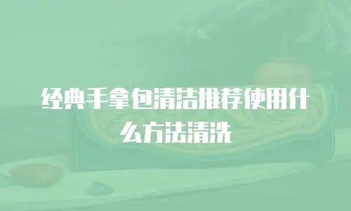 经典手拿包清洁推荐使用什么方法清洗