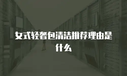 女式轻奢包清洁推荐理由是什么