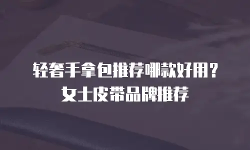 轻奢手拿包推荐哪款好用？女士皮带品牌推荐