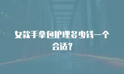 女款手拿包护理多少钱一个合适？