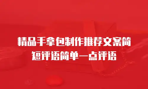 精品手拿包制作推荐文案简短评语简单一点评语