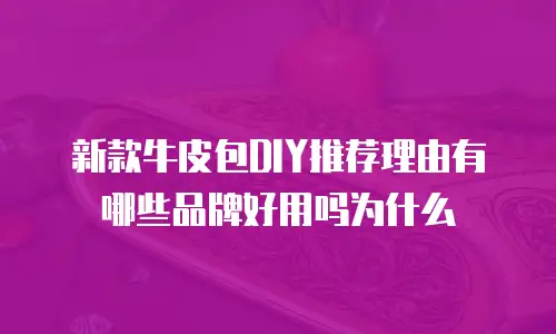新款牛皮包DIY推荐理由有哪些品牌好用吗为什么