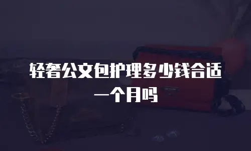 轻奢公文包护理多少钱合适一个月吗