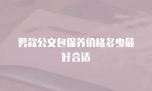男款公文包保养价格多少最好合适