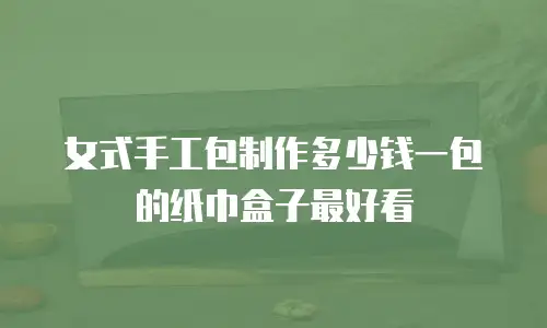 女式手工包制作多少钱一包的纸巾盒子最好看