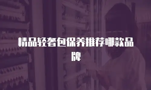 精品轻奢包保养推荐哪款品牌