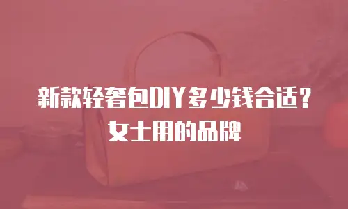 新款轻奢包DIY多少钱合适？女士用的品牌