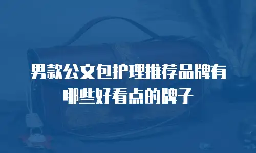 男款公文包护理推荐品牌有哪些好看点的牌子