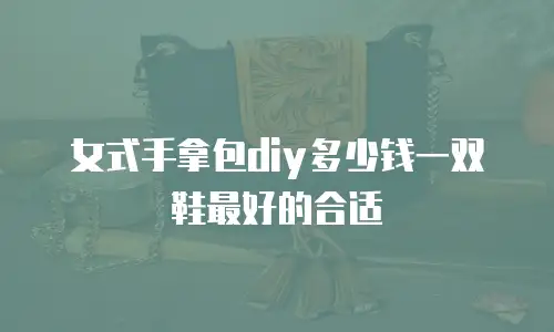 女式手拿包diy多少钱一双鞋最好的合适