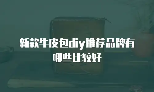 新款牛皮包diy推荐品牌有哪些比较好