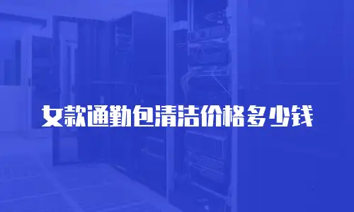 女款通勤包清洁价格多少钱