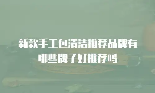 新款手工包清洁推荐品牌有哪些牌子好推荐吗