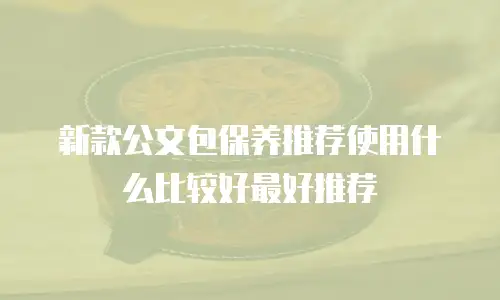 新款公文包保养推荐使用什么比较好最好推荐