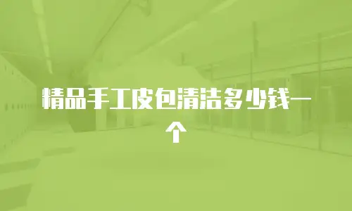 精品手工皮包清洁多少钱一个