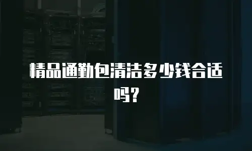 精品通勤包清洁多少钱合适吗？