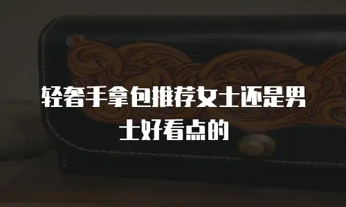 轻奢手拿包推荐女士还是男士好看点的