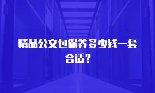 精品公文包保养多少钱一套合适？