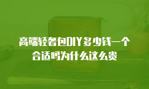 高端轻奢包DIY多少钱一个合适吗为什么这么贵