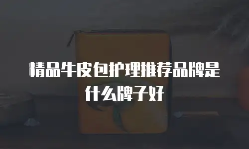 精品牛皮包护理推荐品牌是什么牌子好