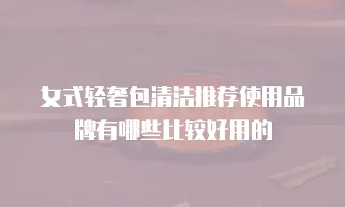 女式轻奢包清洁推荐使用品牌有哪些比较好用的