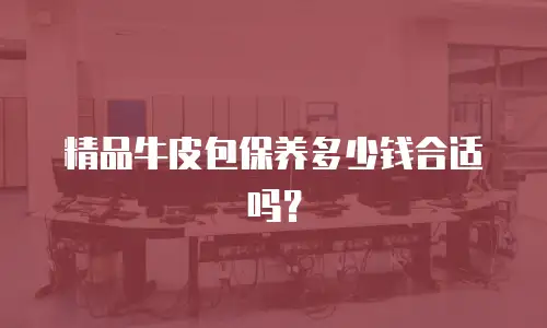 精品牛皮包保养多少钱合适吗？