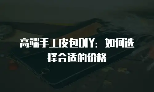高端手工皮包DIY：如何选择合适的价格